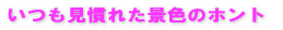 いつも見慣れた景色のホント