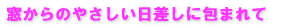 窓からのやさしい日差しに包まれて